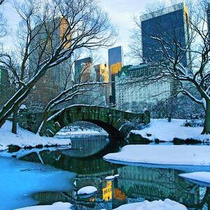 Pond & Bridge, Central Park, Nyc by Claudia Uripos