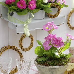 Primula Acaulis spring Primrose In Enameled Cups by Friedrich Strauss