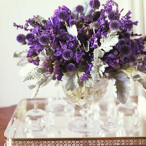 Purple Flower Arrangement Still Life by Dana Gallagher Purple Flower Arrangement Still Life by Dana Gallagher