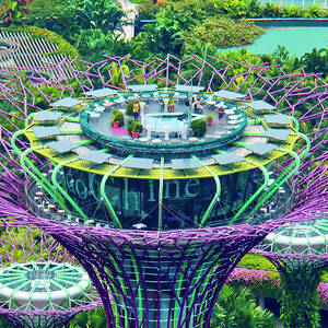 Singapore, Singapore City, Singapore Botanic Gardens, Areal Marina Bay, Garden By The Sands by Uwe Niehuus