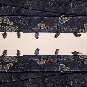 Sparrows Sitting On Rooftop by Sebastian Schneider