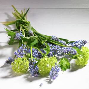 Spring Bouquet Of Grape Hyacinth And Viburnum by Brigitte Wegner