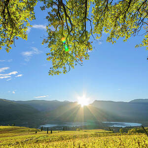 Sudtirol, Vineyards, Wine Road, Italy by Franco Cogoli Sudtirol, Vineyards, Wine Road, Italy by Franco Cogoli