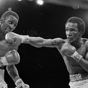 Sugar Ray Leonard Jabbing Tommy Hearns by Bettmann