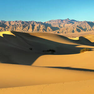 United States, California, Death Valley, Mesquite Sand Dunes In Morning Light, Death Valley National Park by Markus Lange