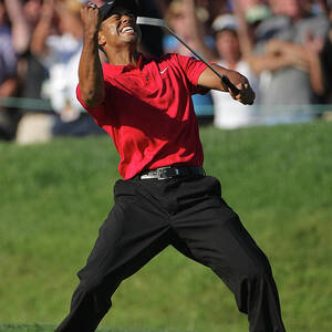 U.s. Open Championship - Final Round by Doug Pensinger U.s. Open Championship - Final Round by Doug Pensinger