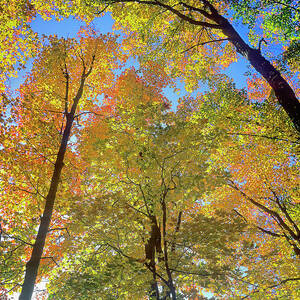 Usa, Maine, Fall In Greenville by Marco Simoni Usa, Maine, Fall In Greenville by Marco Simoni