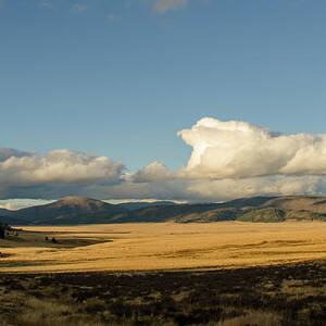 Valles Caldera National Preserve II by Jeff Phillippi Valles Caldera National Preserve II by Jeff Phillippi