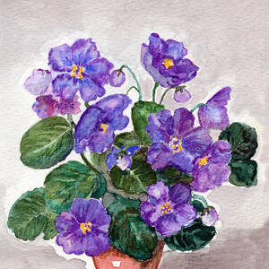 Watercolor Painting Of   African Violet by Mitza