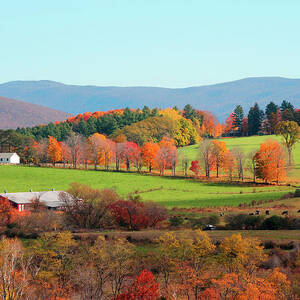 Williamstown, Massachusetts by Stephen G. Donaldson
