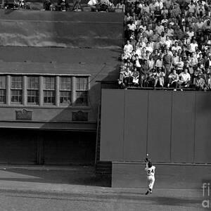 Willie Mays Makes His Famous Catch Off by New York Daily News Archive
