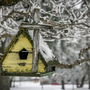 Yellow Bird House on Frosty Branch in Winter_0162 by Linda Triplett