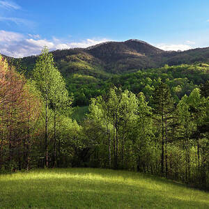Blue Ridge Meadow by Steven Nelson Blue Ridge Meadow by Steven Nelson