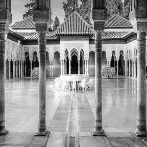 Patio de Los Leones BW by Rebecca Herranen