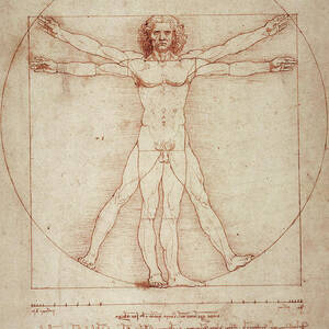 Vitruvian Man by Leonardo Da Vinci