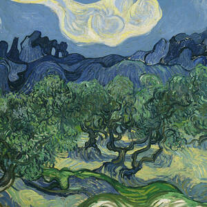 The Olive Trees by Vincent Van Gogh