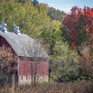 Vibrant Autumn Landscape with Rustic Barn_7584 by Linda Triplett Vibrant Autumn Landscape with Rustic Barn_7584 by Linda Triplett