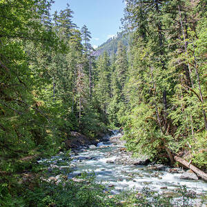 Tranquil River In Lush Woodland Path_8785 by Linda Triplett Tranquil River In Lush Woodland Path_8785 by Linda Triplett