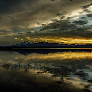 A New Hope by Tim Lyden