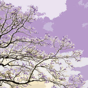 Amethyst by Moira Risen