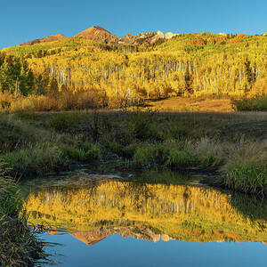 Autumn Aspen Reflection by Ron Long Ltd Photography Autumn Aspen Reflection by Ron Long Ltd Photography