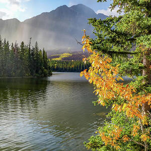 Autumn Beginnings Canadian Rockies by Dan Sproul Autumn Beginnings Canadian Rockies by Dan Sproul