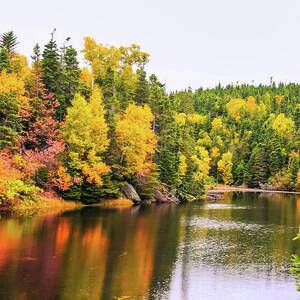 Autumn has arrived in Newfoundland, Canada by Tatiana Travelways