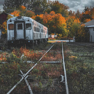 Autumn Train of Uxbridge by Dee Potter