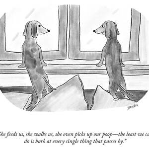 Bark at Every Single thing by Sarah Kempa