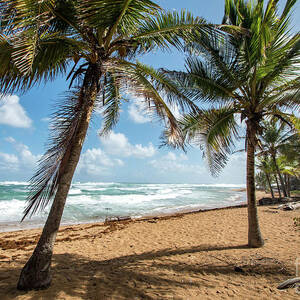 Beach Waves and Palm Trees, Pinones, Puerto Rico by Beachtown Views Beach Waves and Palm Trees, Pinones, Puerto Rico by Beachtown Views
