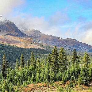 Beautiful Mountain Forest Panorama by Dan Sproul Beautiful Mountain Forest Panorama by Dan Sproul