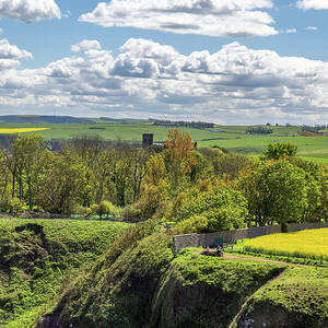 Berwickshire Countryside by Shirley Mitchell