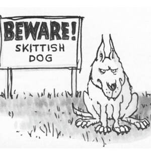 Beware Skittish Dog by George Booth