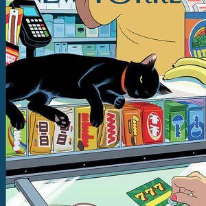 Bodega Cat by R Kikuo Johnson