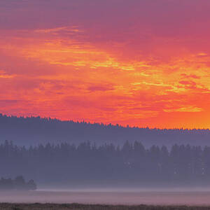 Bogard Moods by Mike Lee