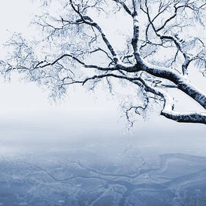 Celestite by Moira Risen