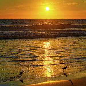 Cerritos Beach Sunset Mazatlan Mexico by Tommy Farnsworth Cerritos Beach Sunset Mazatlan Mexico by Tommy Farnsworth