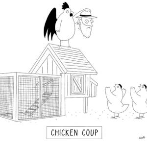 Chicken Coup by Seth Fleishman Chicken Coup by Seth Fleishman