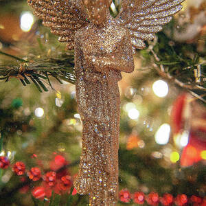 Christmas Angel_1201 by Linda Triplett