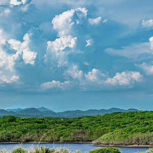 Clouds Over Jungle Mazatlan Mexico by Tommy Farnsworth