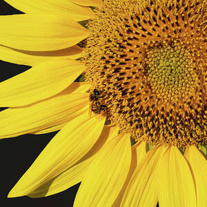 Co-Existence by Charnwood Photography Fine Art