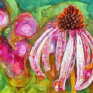 Coneflower by Grant Nixon Coneflower by Grant Nixon