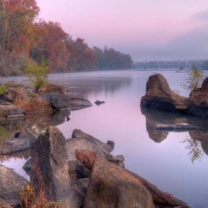 Congaree River at Dawn v2 by Charles Hite