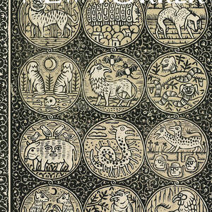 Curiosities by Edward Steed