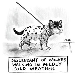 Descendant Of Wolves by Jason Adam Katzenstein Descendant Of Wolves by Jason Adam Katzenstein