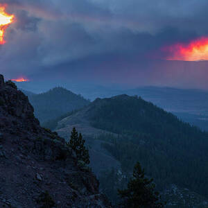 Destructive Beauty by Mike Lee