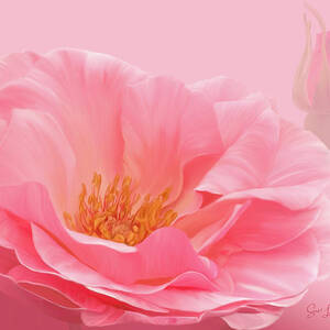 Digitally Painted Dog Rose by Sue Leonard