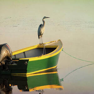Early Morning in Rustico Harbour by Douglas Wielfaert