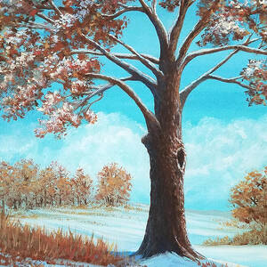 First Snow by Sarah Irland