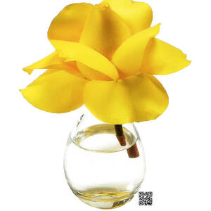 Good Morning by Rafael Salazar